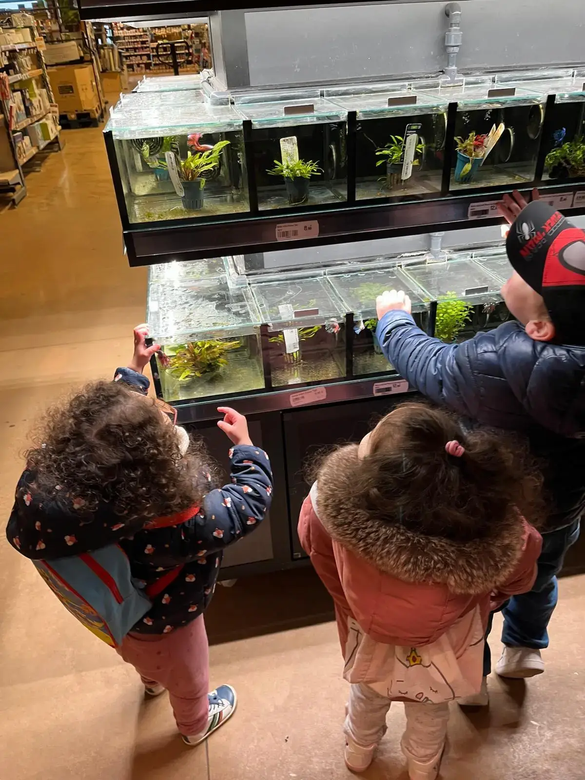 Photo 2025 04 01 13 08 21 - Attribut alt par défaut.